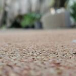 148580099_413327093215626_3852626660635895962_n